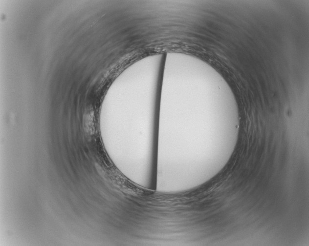 X0000052600224200507292131