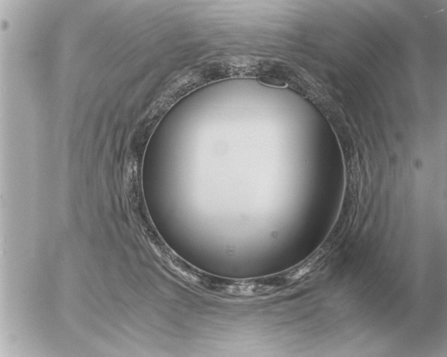 X0000052600225200507292131