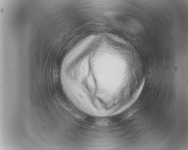 X0000052600226200507292131