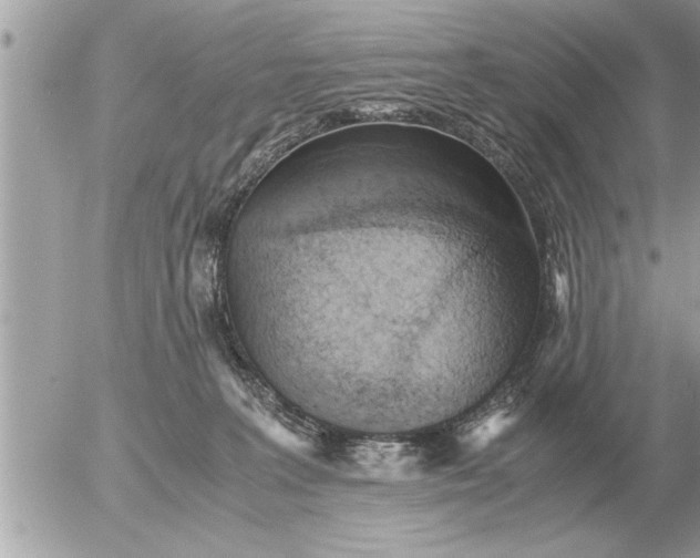 X0000052600227200507292131