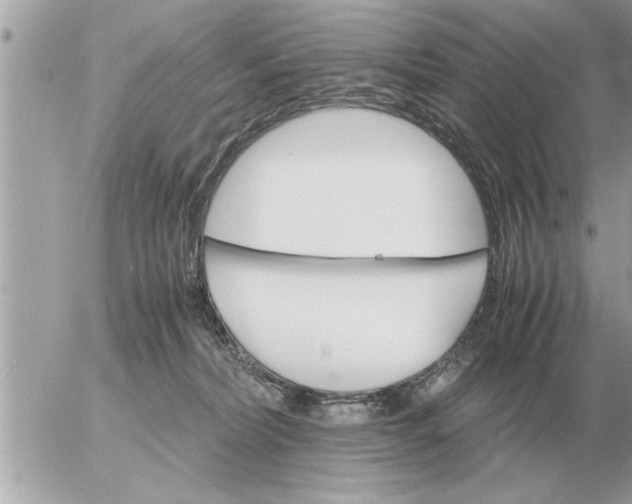 X0000052600228200507292131