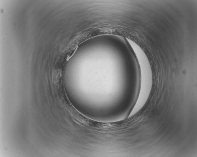 X0000052600229200507292131