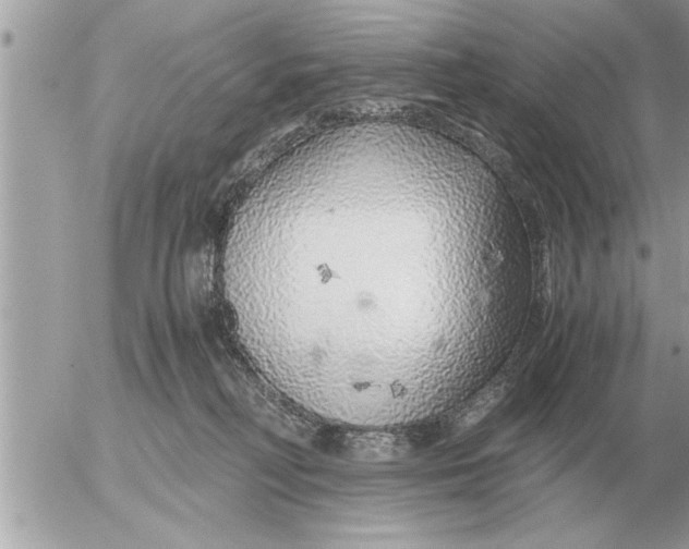 X0000052600230200507292131