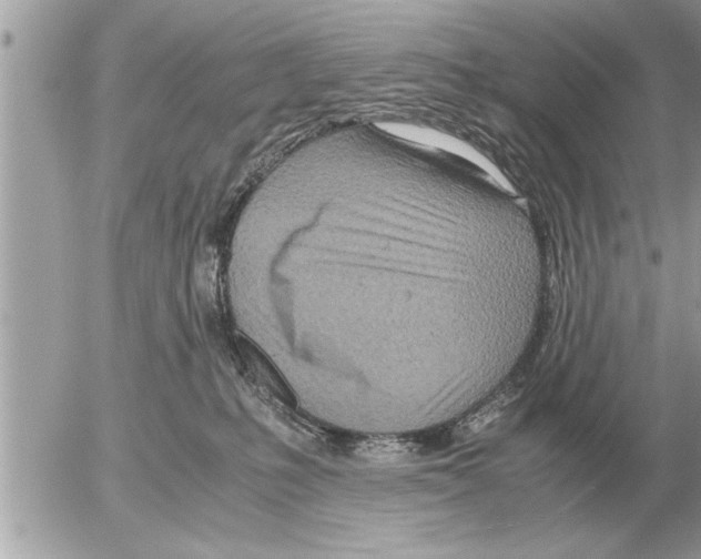 X0000052600231200507292131