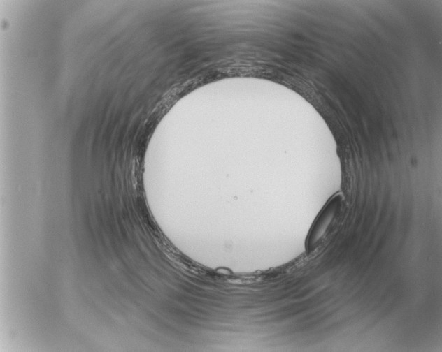 X0000052600232200507292131