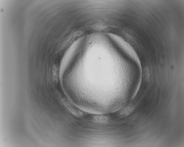 X0000052600234200507292131