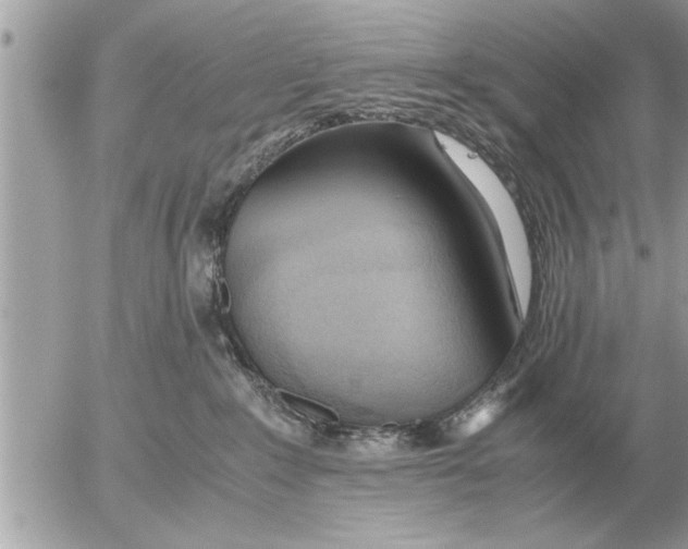 X0000052600235200507292131