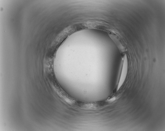 X0000052600237200507292131