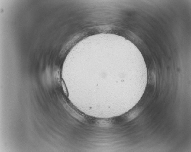 X0000052600238200507292131