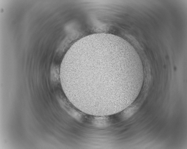 X0000052600240200507292131