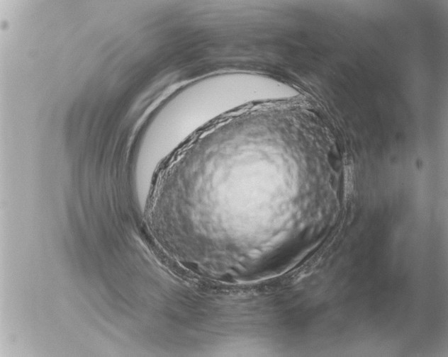 X0000052600243200507292130