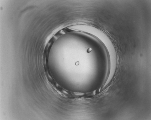 X0000052600244200507292130