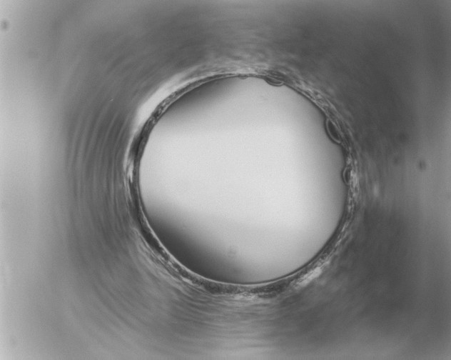 X0000052600246200507292130