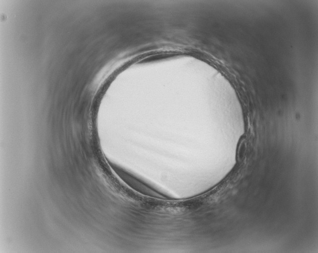 X0000052600247200507292130