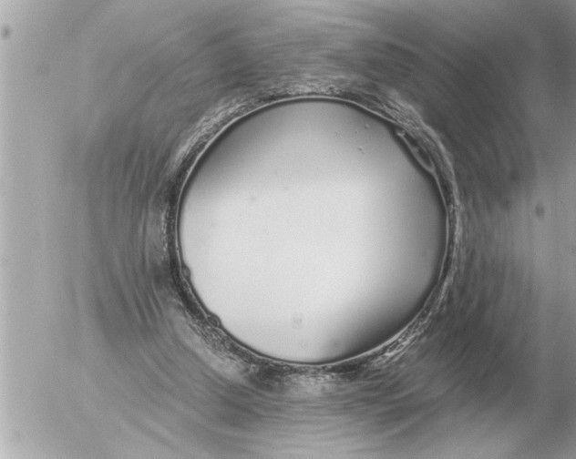 X0000052600250200507292130