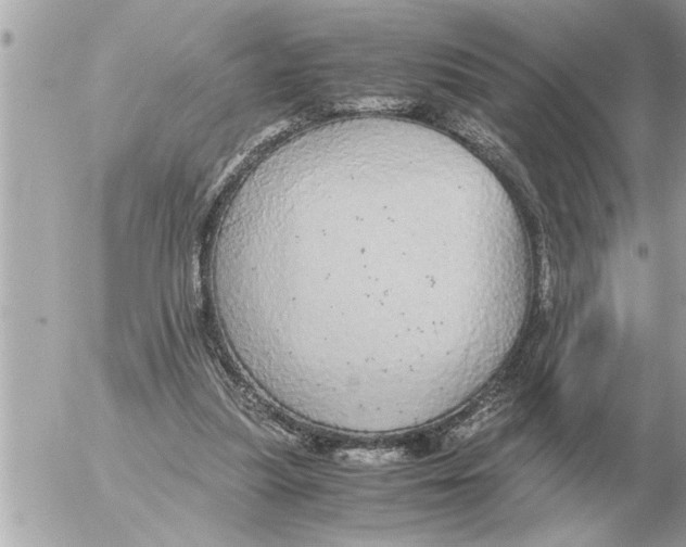 X0000052600251200507292130