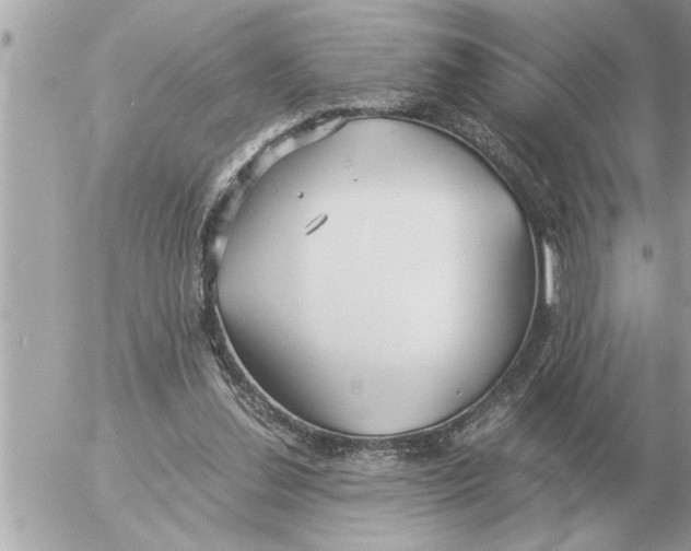 X0000052600252200507292130