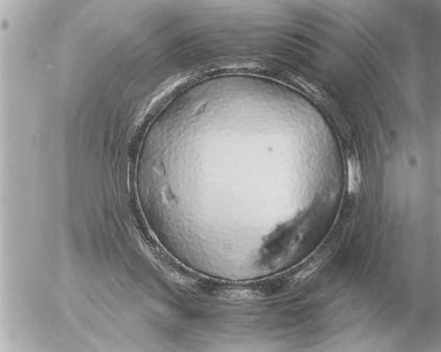 X0000052600253200507292130