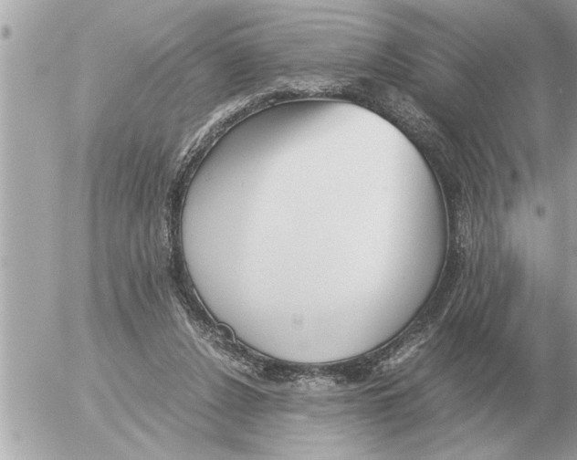 X0000052600256200507292130