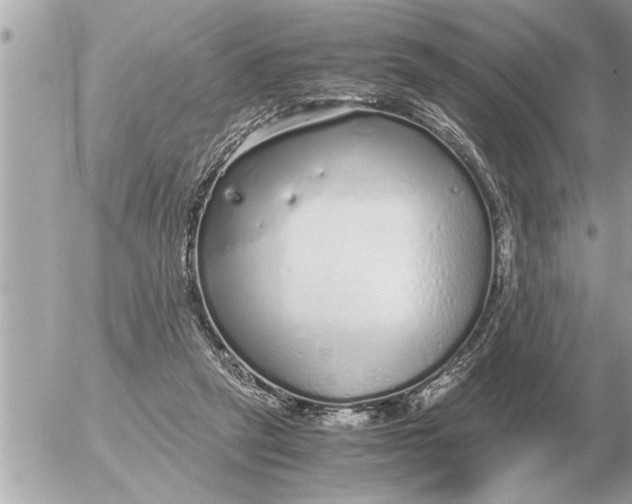 X0000052600257200507292130