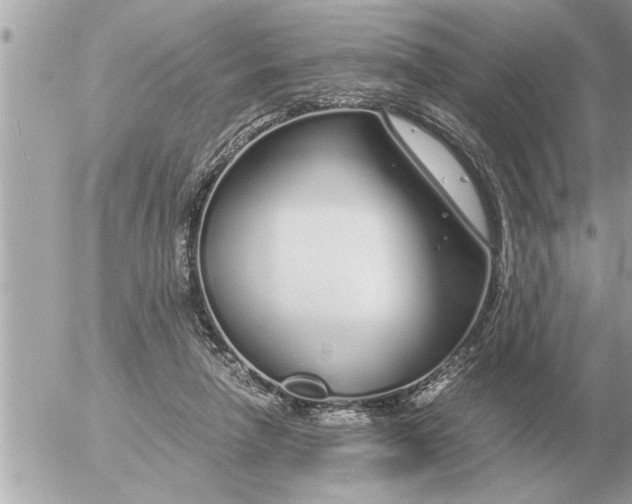 X0000052600258200507292130