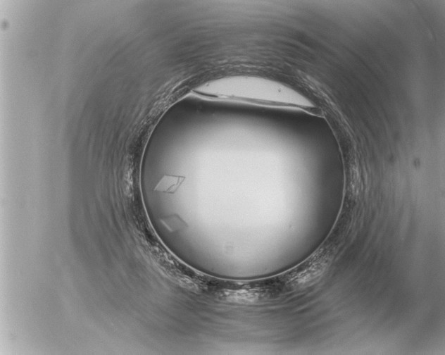 X0000052600259200507292130