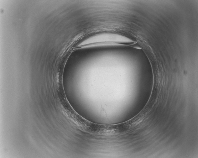 X0000052600260200507292130