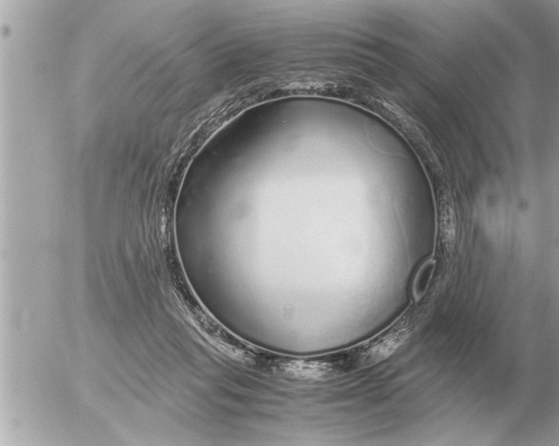 X0000052600261200507292130