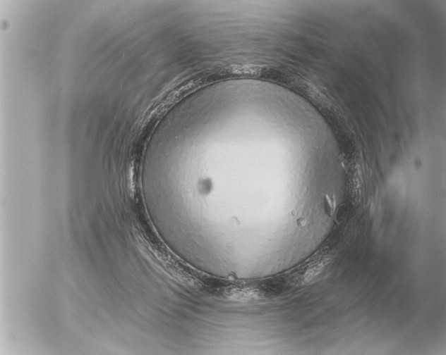 X0000052600262200507292130