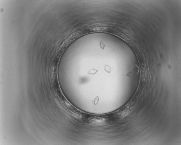 X0000052600263200507292130