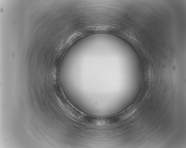 X0000052600264200507292130