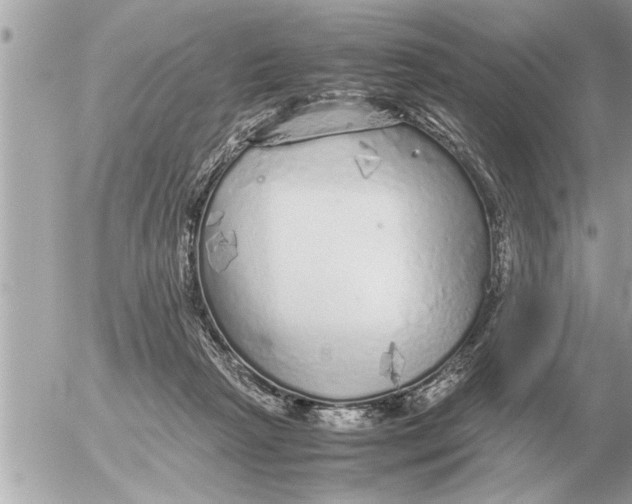 X0000052600265200507292130