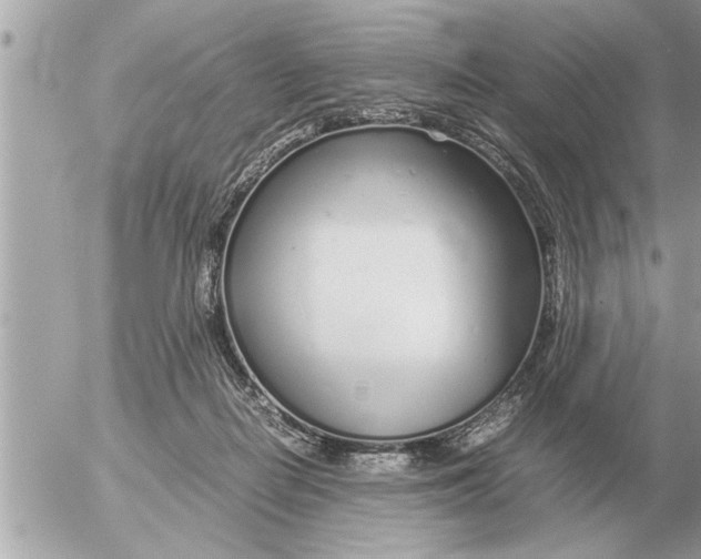 X0000052600266200507292130