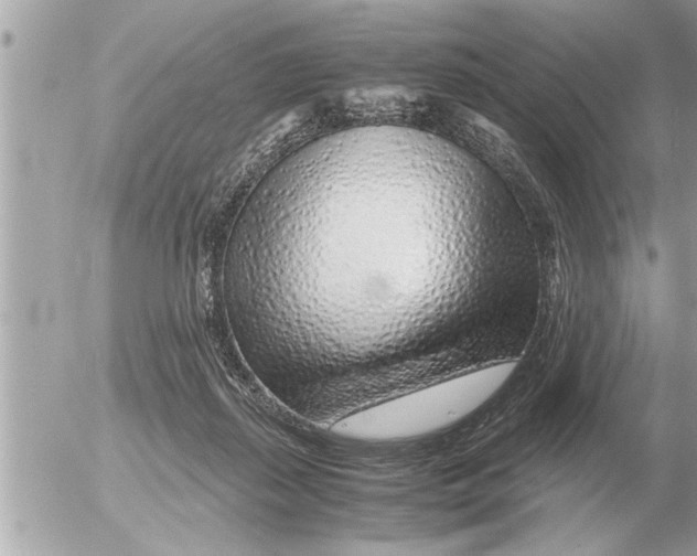 X0000052600267200507292130