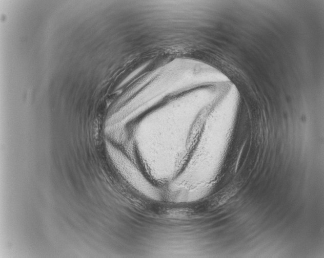 X0000052600268200507292130