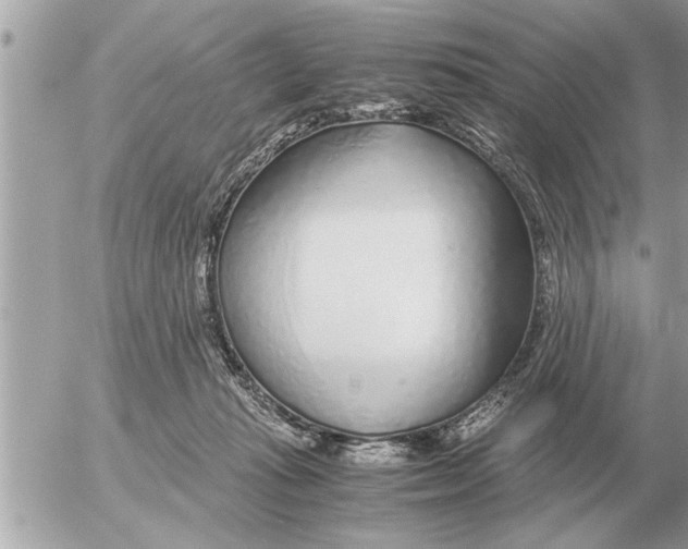 X0000052600269200507292130