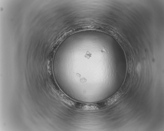 X0000052600270200507292130