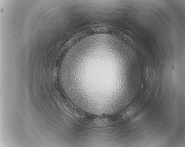 X0000052600271200507292130