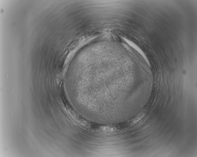 X0000052600272200507292130