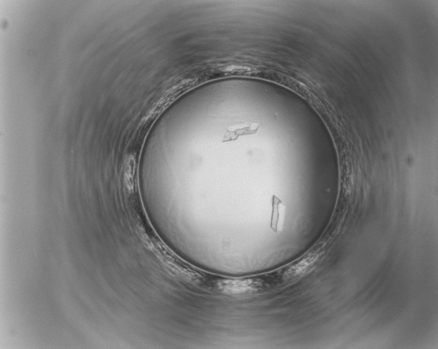 X0000052600273200507292130