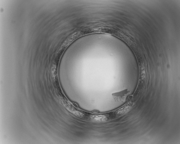 X0000052600275200507292130