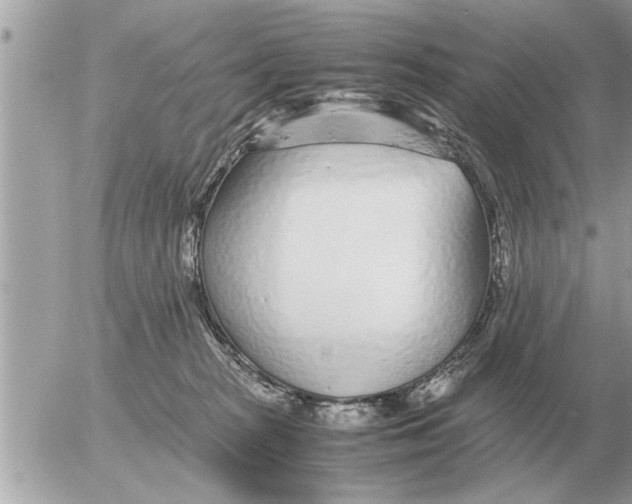 X0000052600277200507292130