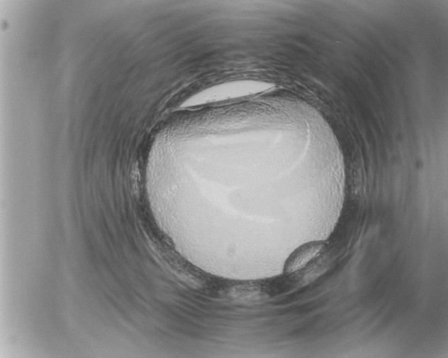 X0000052600279200507292130