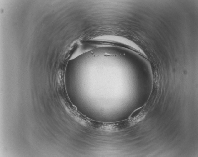 X0000052600280200507292130