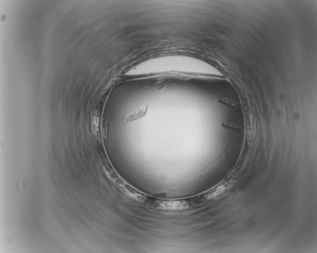 X0000052600281200507292130