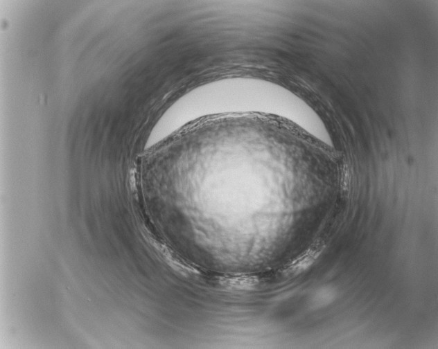 X0000052600282200507292131