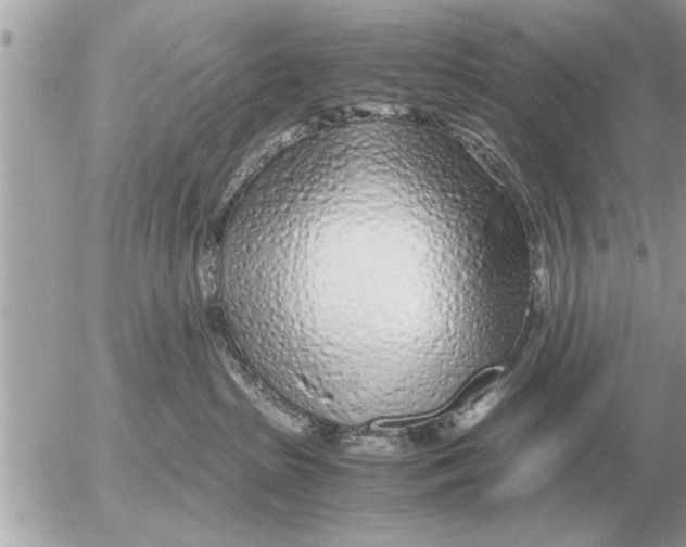 X0000052600285200507292131