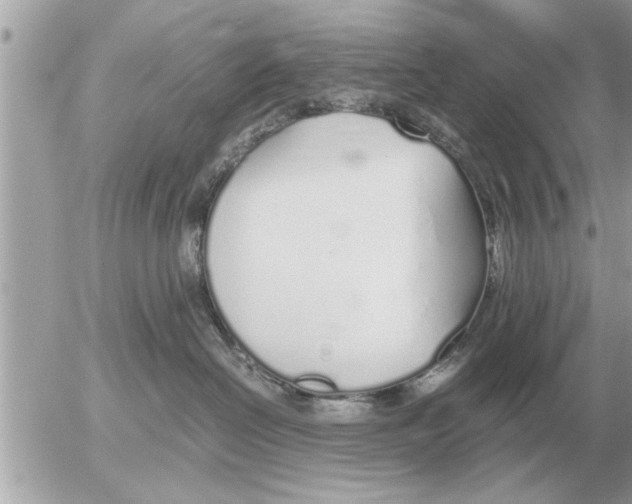 X0000052600286200507292131