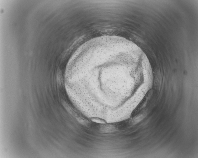 X0000052600287200507292131