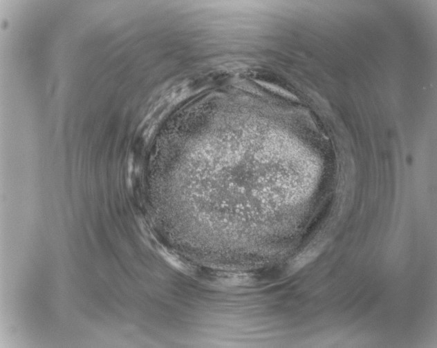 X0000052600288200507292131